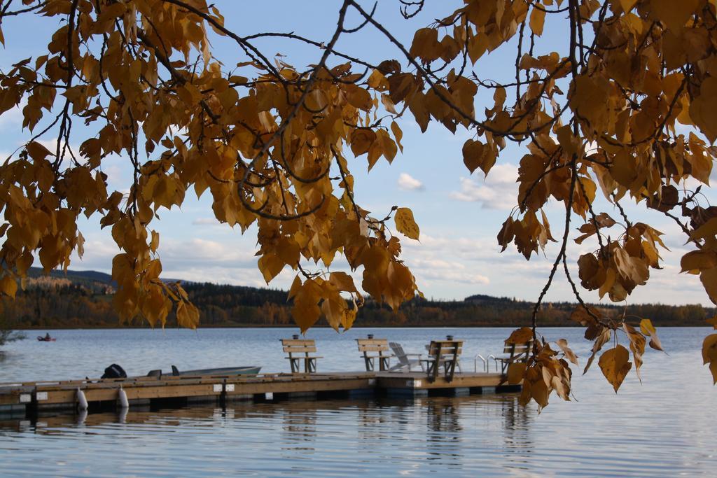 Robert'S Roost Rv Park Resort Quesnel Bagian luar foto