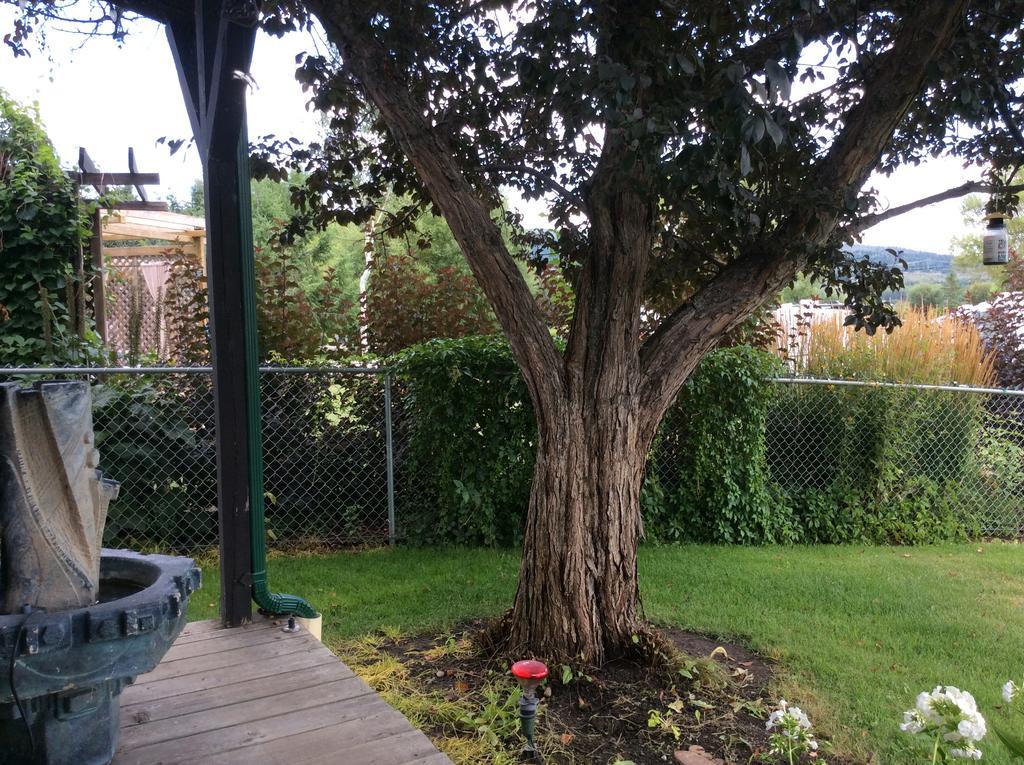 Robert'S Roost Rv Park Resort Quesnel Bagian luar foto